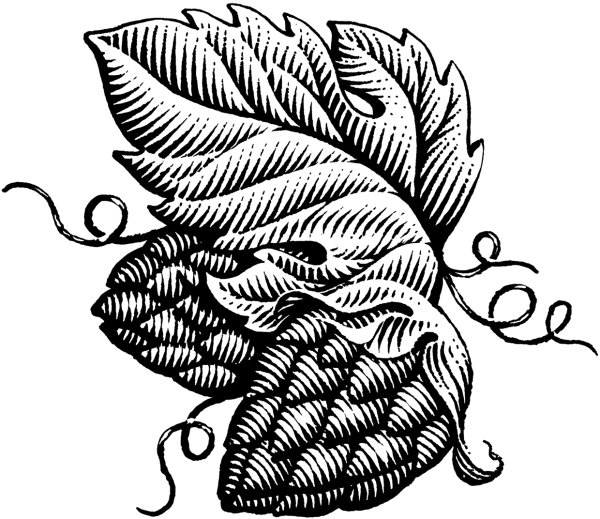 Листочек гравюра