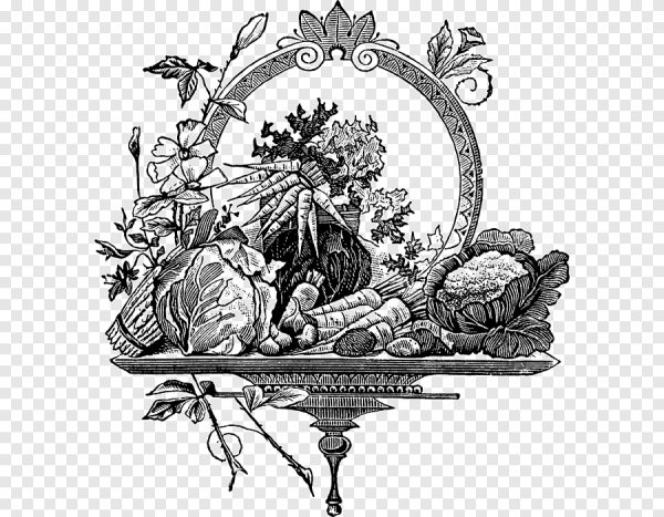 Монохромная иллюстрация