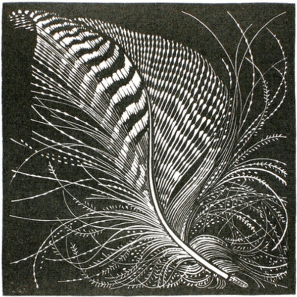 Перо Графика