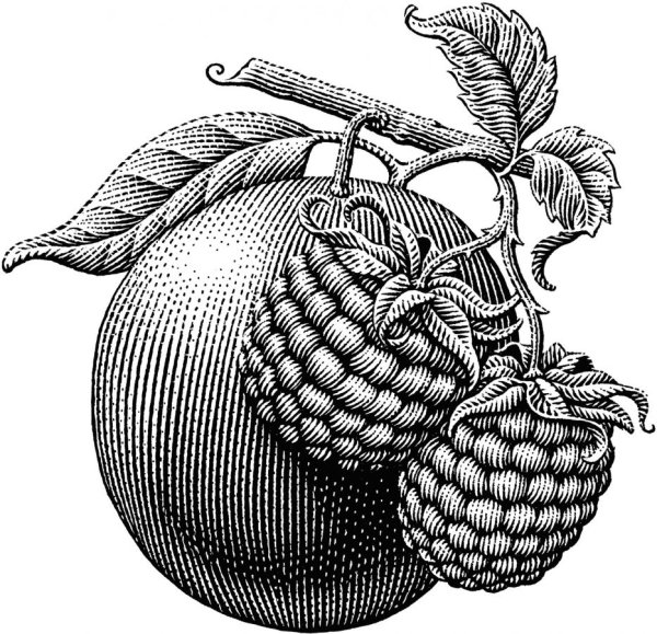 Гранат гравюра