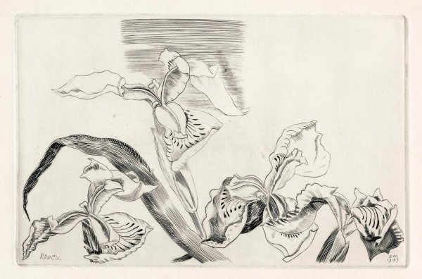 Митрохин офорт