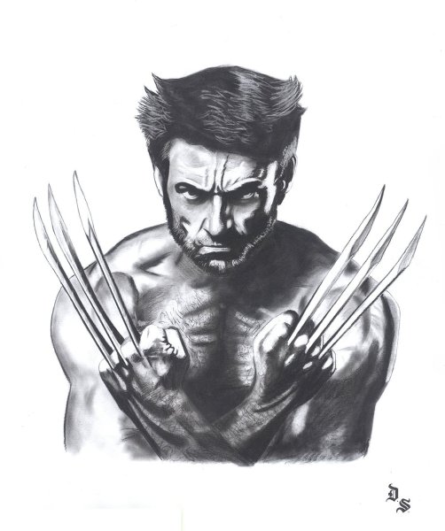 Рисунки Марвел Логан Росомаха