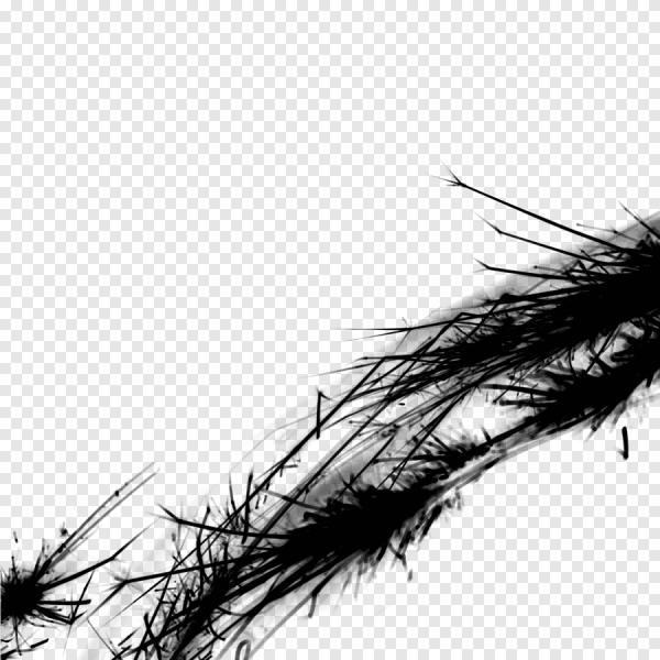 Искра черно белая