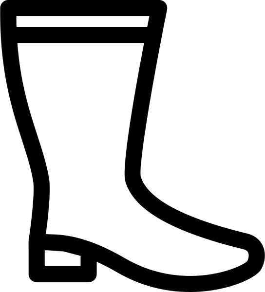 Сапоги Графика