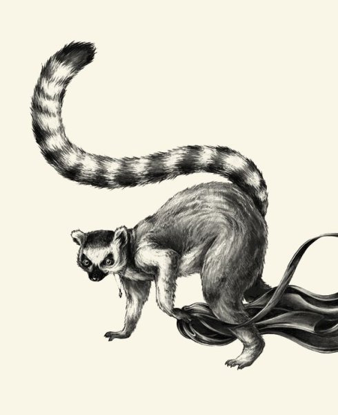 Лемур тату эскиз