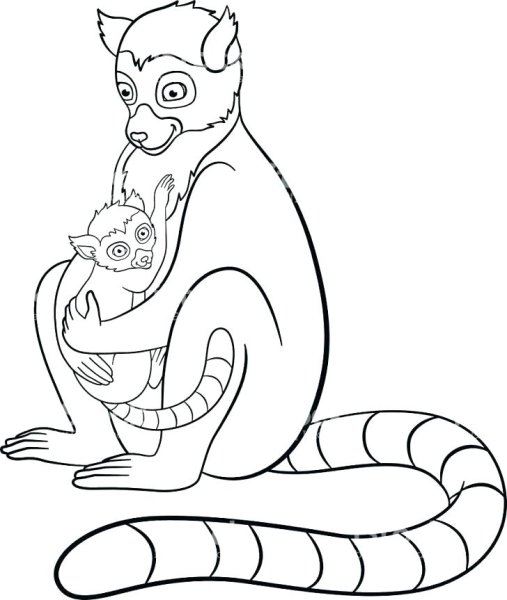 Лемур раскраска