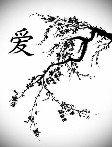 Сакура эскиз