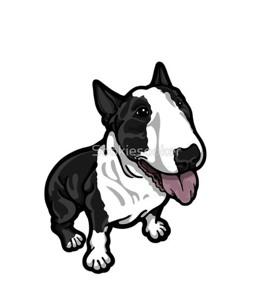 Бультерьер принты