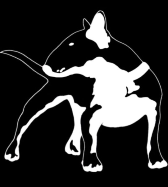 Бультерьер логотип