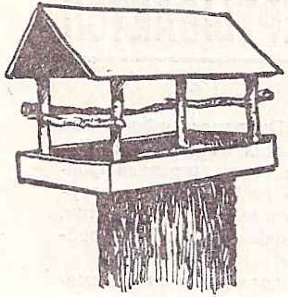 Кормушка для птиц раскраска