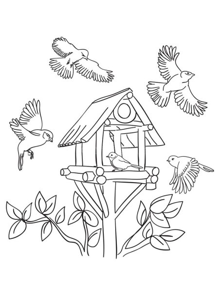 Раскраска зимующие птицы на кормушке