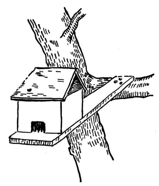 Кормушка для птиц раскраска