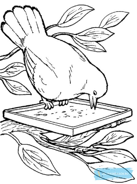 Наклейки на кормушку