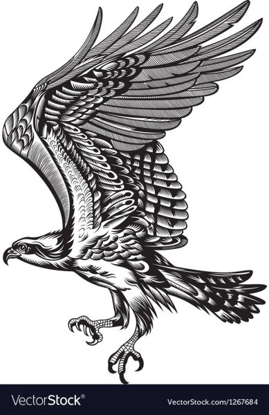 Стилизованный Сокол в графике