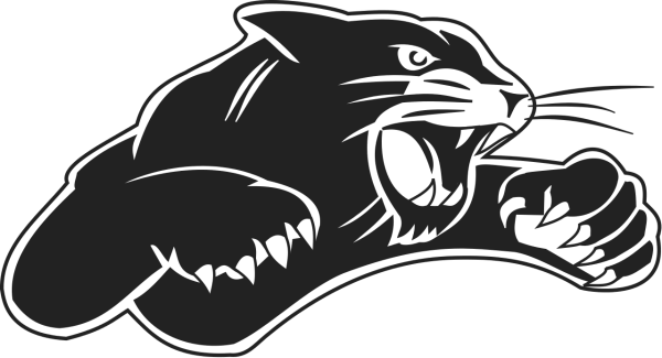 Силуэт пантеры