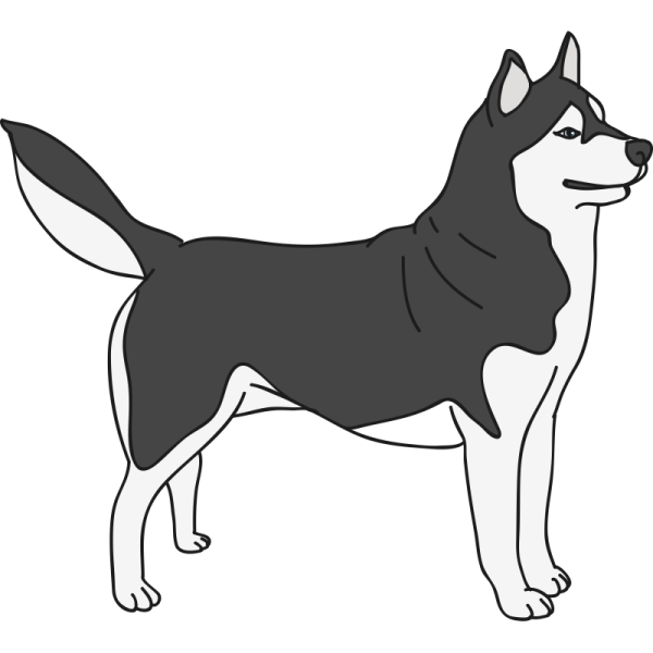 Собака рисунок