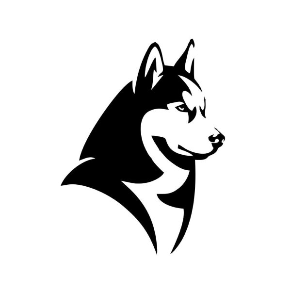 Хаски морда вектор