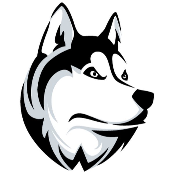 Хаски вектор