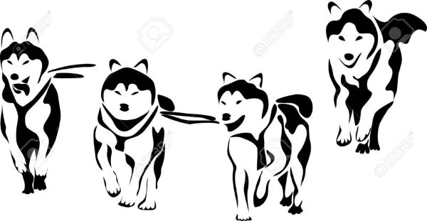 Ездовые собаки вектор