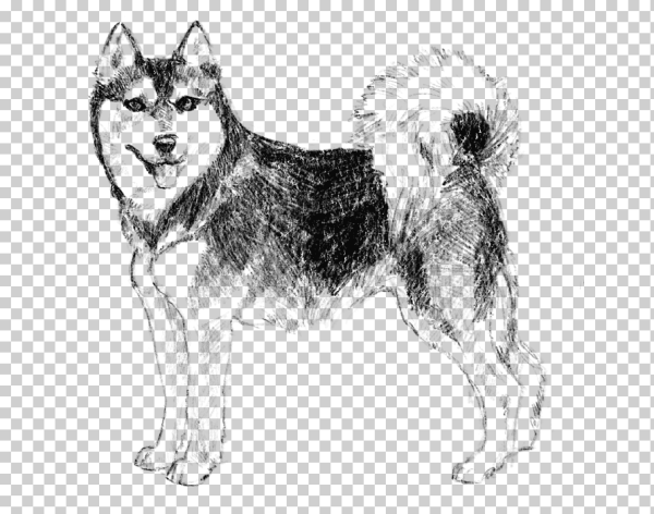 Наброски собак лаек