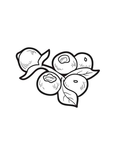 Черника раскраска