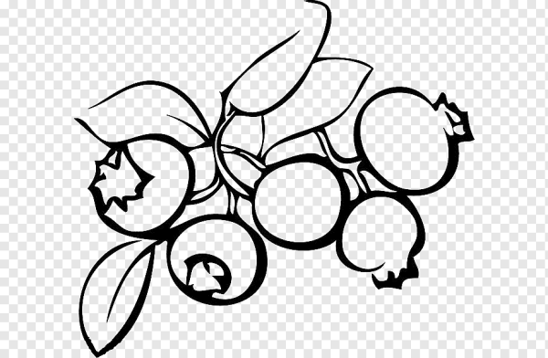 Ягоды Графика