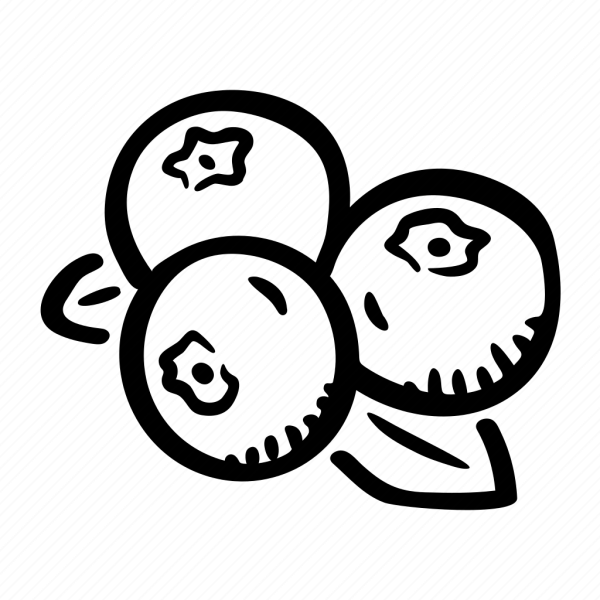 Черника иконка