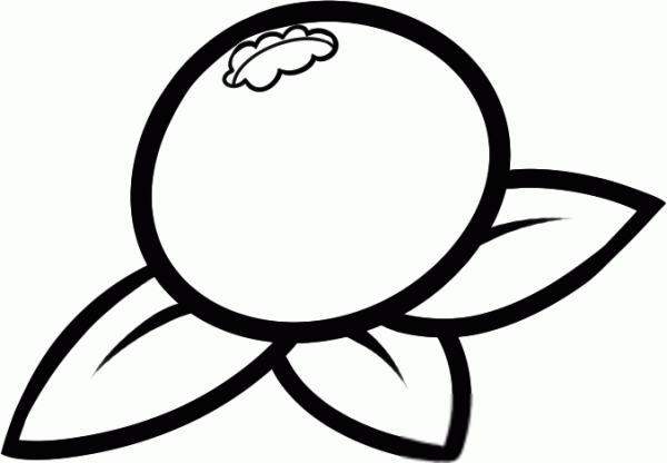 Черника раскраска для детей