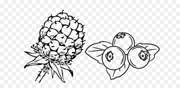 Раскраска ягоды черника