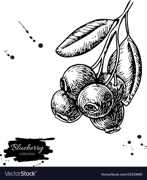 Клюква скетч