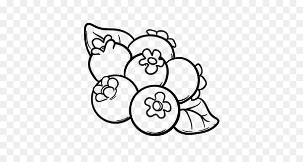 Раскраска ягоды черника