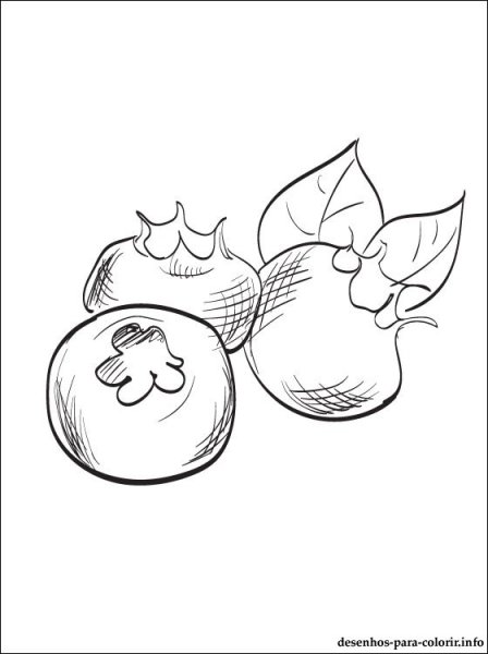 Фрукты раскраска черника