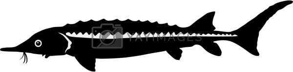 Осетр символ