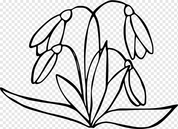 Подснежники рисунок ребенка черно-белый