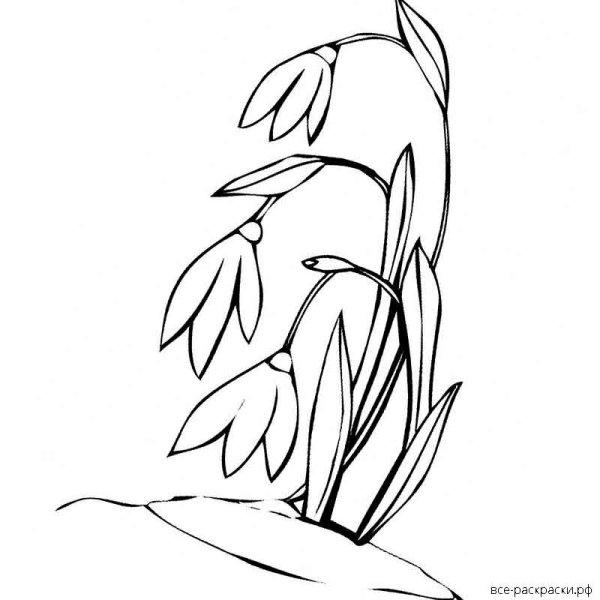 Трафареты тюльпаны