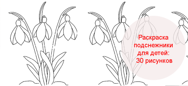 Подснежники раскраска для детей