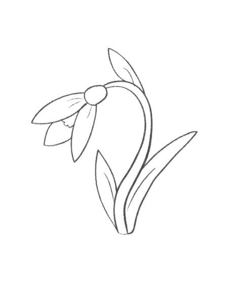 Подснежники Графика