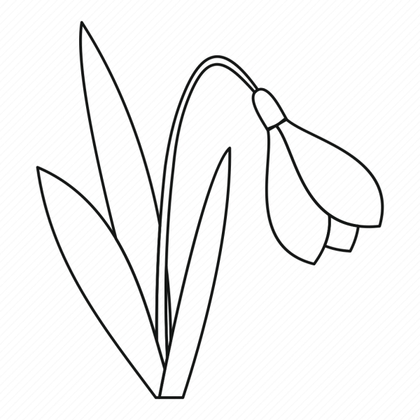 Подснежник эскиз