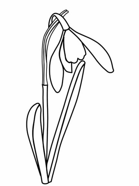 Графомоторика подснежники