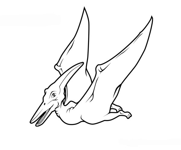 Птеродактиль раскраска для детей