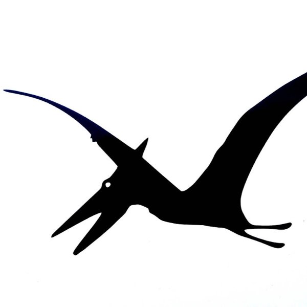 Птеродактиль вектор