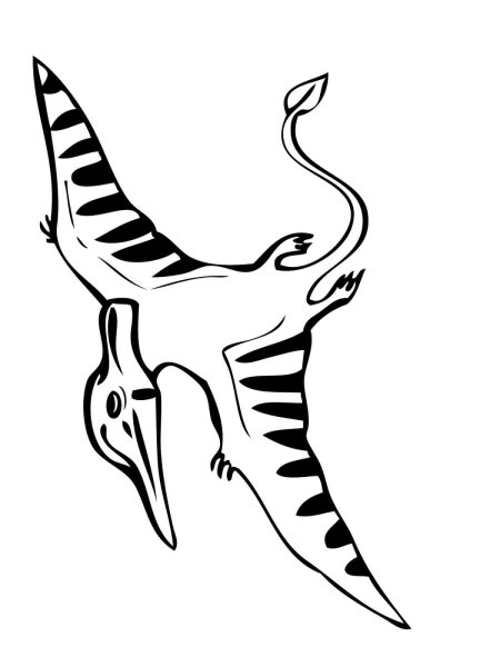 Птеродактиль раскраска