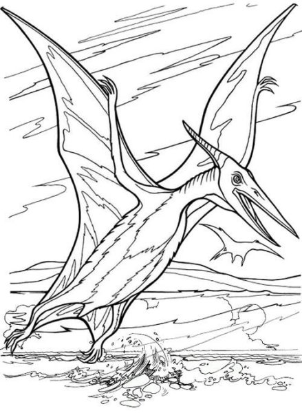 Птеродактиль раскраска