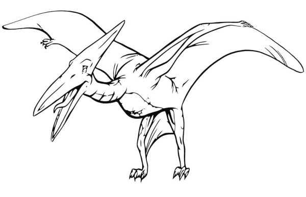 Раскраска мир Юрского периода Птеранодон