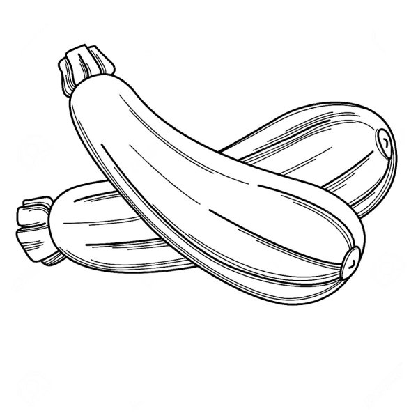 Кабачок карандашом