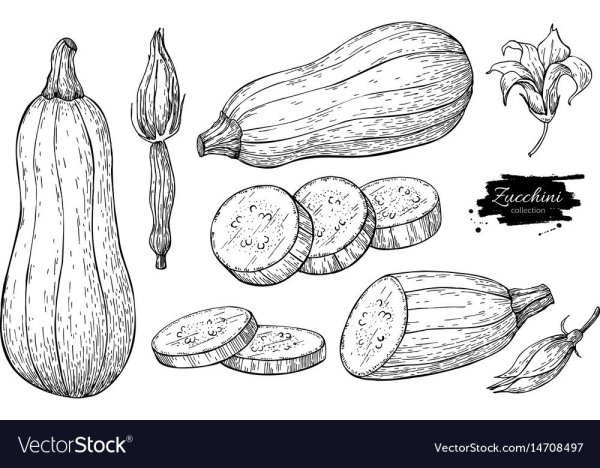 Баклажан контур