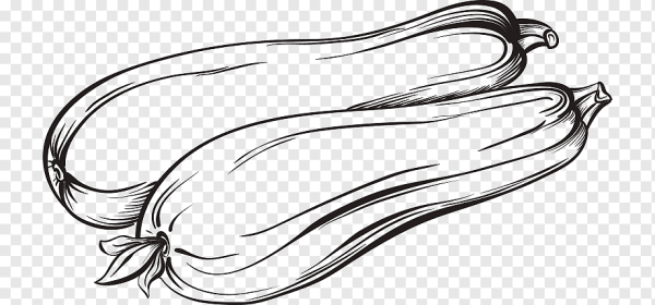 Кабачок раскраска