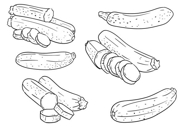 Кабачок раскраска