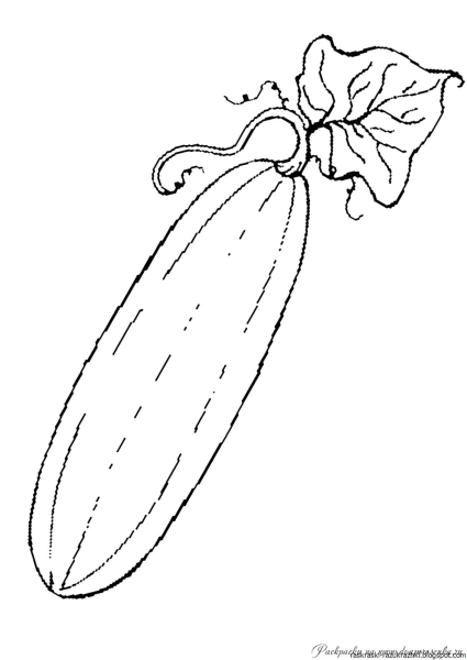 Огурец раскраска