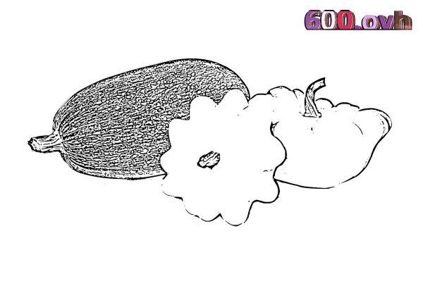 Кабачок раскраска для детей